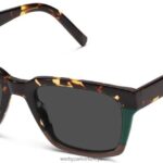 Warby Parker andre N8ZXX8677 çizgili alp gözlük