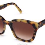 Warby Parker Aubrey N8ZXX8849 badem ezmesi kaplumbağa gözlük