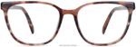 Warby Parker Esme N8ZXX881 susam kaplumbağası gözlük - Image 4