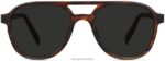 Warby Parker saha oyuncusu N8ZXX8749 konyak kaplumbağası mat gözlük - Image 4