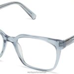 Warby Parker sarılmak N8ZXX8110 Pasifik kristali gözlük