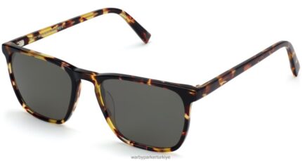 Warby Parker Sutton N8ZXX8710 ceviz kaplumbağası gözlük