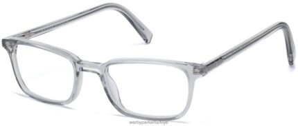 Warby Parker zeytin N8ZXX8176 deniz camı gri gözlük